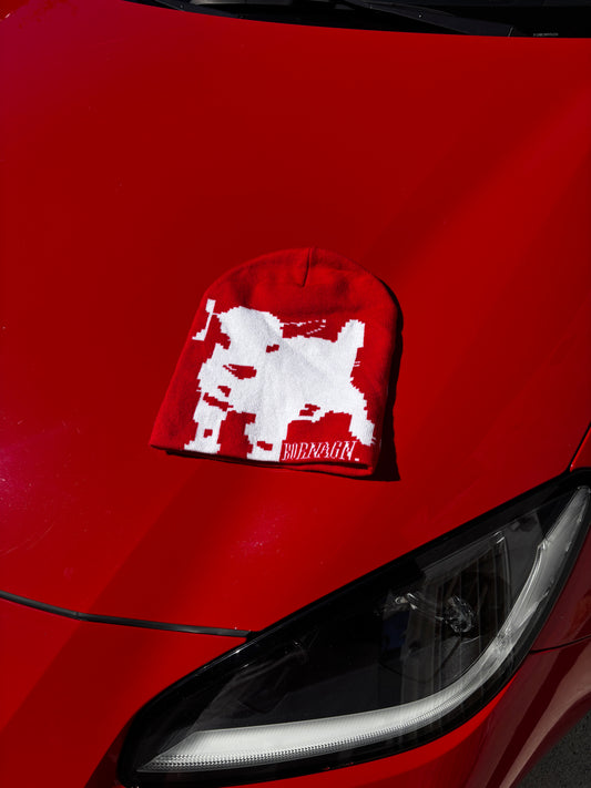 "JESUS SAVES" Beanie